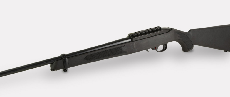 New home Box2 Ruger 10/22 (6.19)