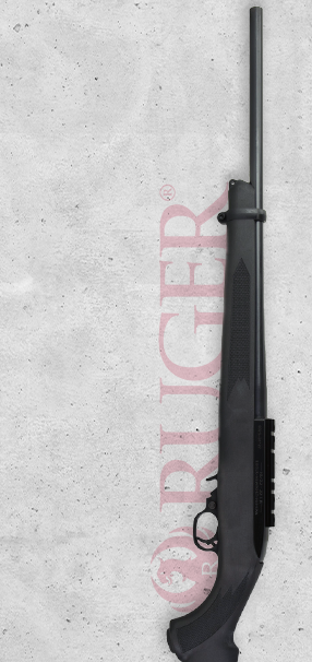 Home Promo box Tall1 Ruger 10/22 (9.18)
